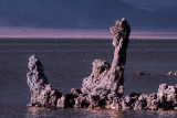 a statue of tufa at Mono Lake