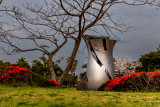 artistic statues at Jeju Island