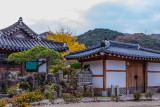 Korean tradional houses