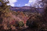 at Mt. Meudung a creek to the right with fall colors