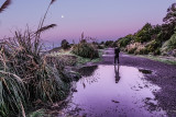 morning walk with moon at Albany Bulb