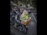 Pink Roses - St Tropez Market