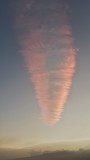 X-mas tree, upside down :-) from this morning 