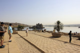 IMG_7958.jpg