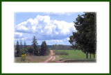 The Road Taken
