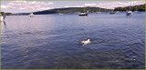Cape Breton Island ~ Great Expectations