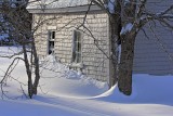 Silvery Shed