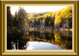 Reflections of Autumn