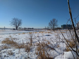 Froide journée sur le Saint-Laurent - Cold day on the Saint-Lawrence River !