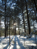 Parc cologique de lAssomption