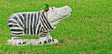 Zebra Hippo with bird friend
