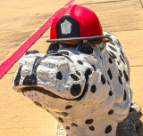 Firefighting hippo 2