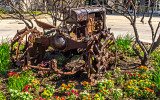 Ancient International Harvester tractor. (5/20)