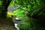Neath Canal at Rheola.