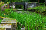 Losing the fight to keep the canal clear.