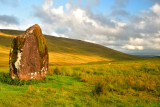Main Llia looking south.