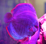 DSC_0552.JPG