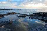 Rockpool reflections.