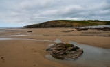 DSC_1917_01.JPG