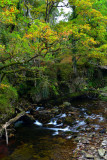 Upstream from the bridge.