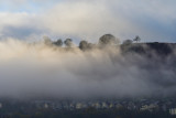 Cilhaul, Mountain Ash.