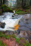 Nant Bwrefwr at Blaen y Glyn.