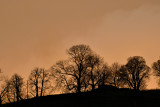 Monopod used. See exif for full details.