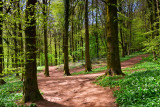 Fforest Fawr, Tongwynlais near Cardiff.