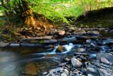 Cwm Clydach.