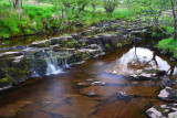 Afon Hepste at Bryn-Cl, Penderyn.