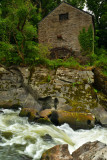 The Old Mill, Cenarth.