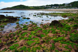 Low tide, Langland Bay, Gower.