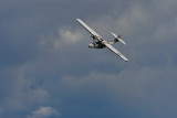 DSC_1194.JPG