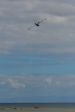 DSC_1213.JPG