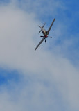DSC_1539.JPG