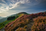 DSC_2805.jpg
