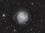 M83 in Hydra