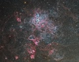The Tarantula nebula and neighbours in the Large Magellanic Cloud