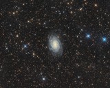 NGC 6744 in Pavo