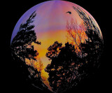 Sunset Globe