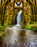 Rainforest Waterfall