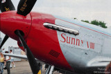 P-51 Sunny VIII