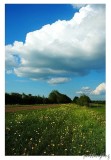 Cloudy?!