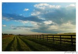 ~DSC_0464.jpg