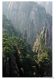 Sunny Day in Huang Shan