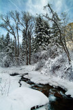 DSCF0072sss.jpg