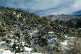 DSCF0152ss.jpg