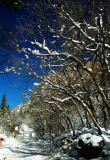 DSCF0182ss.jpg