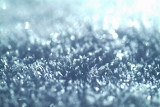 DSCF0100ss.jpg