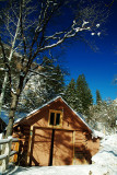 DSCF0183ss.jpg